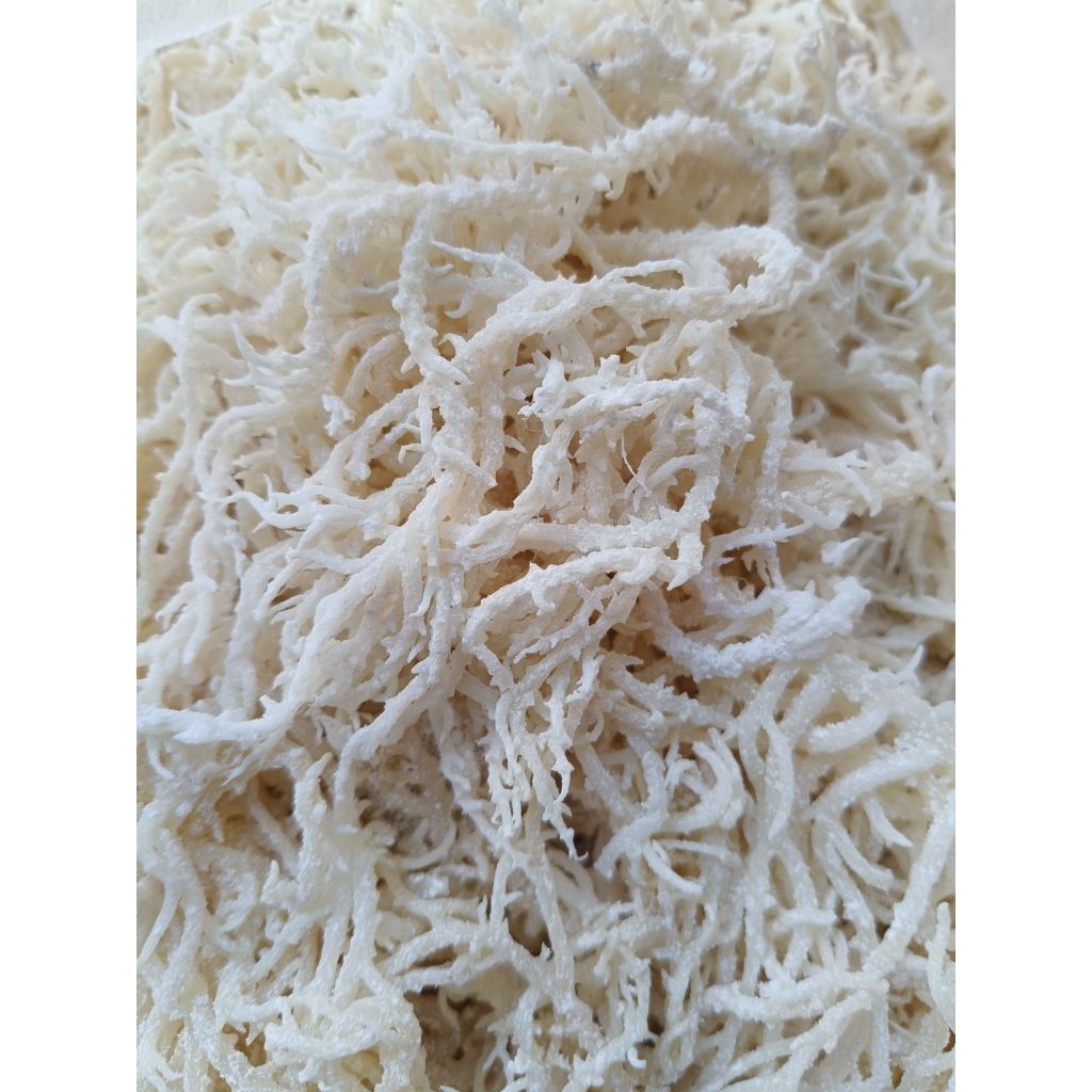 

Rumput Laut Kering Kemasan 2kg Untuk Es