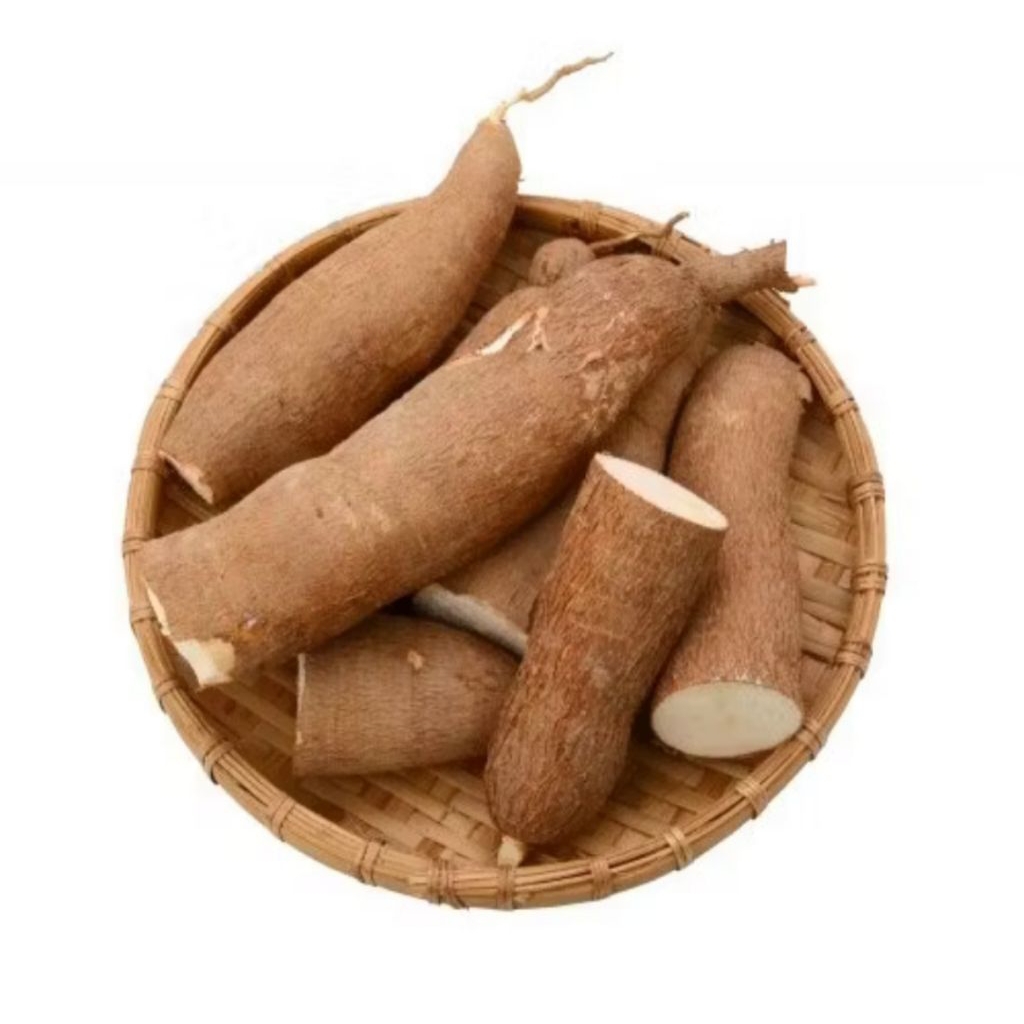 

Singkong Racun Singkong Sapi Kuru 1 Kg