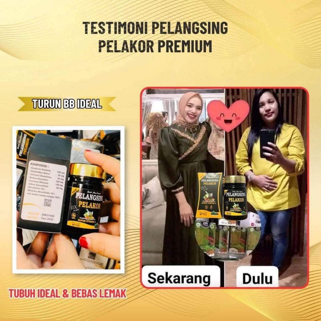 pelangsing pelakor