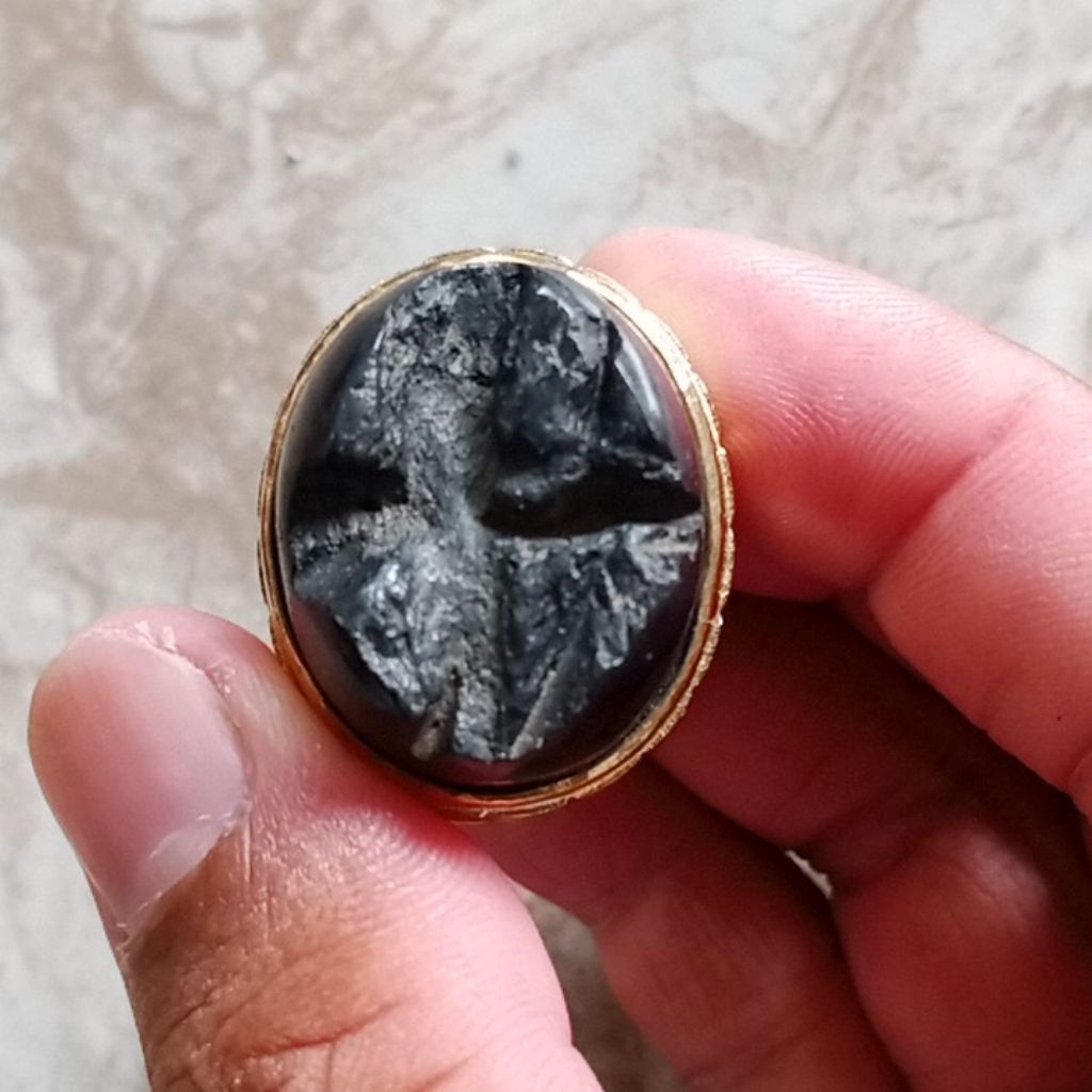 tapak jalak badar besi