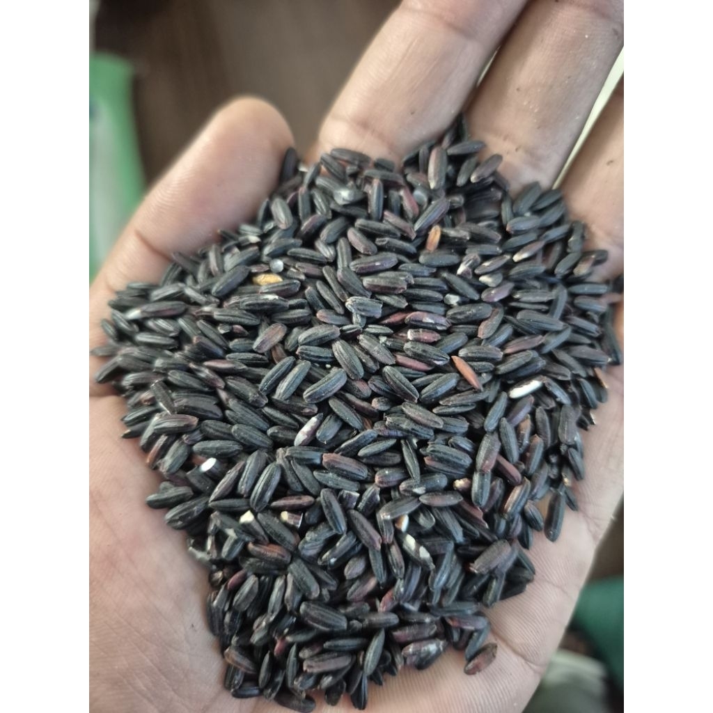 

CHJ Beras Ketan hitam Panjang 1kg