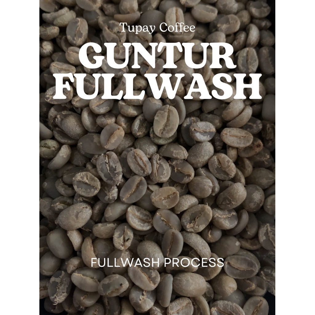 

Greenbean FULLWASH GUNTUR Specialty Grade 1 / Biji Kopi Mentah 1Kg JawaBarat