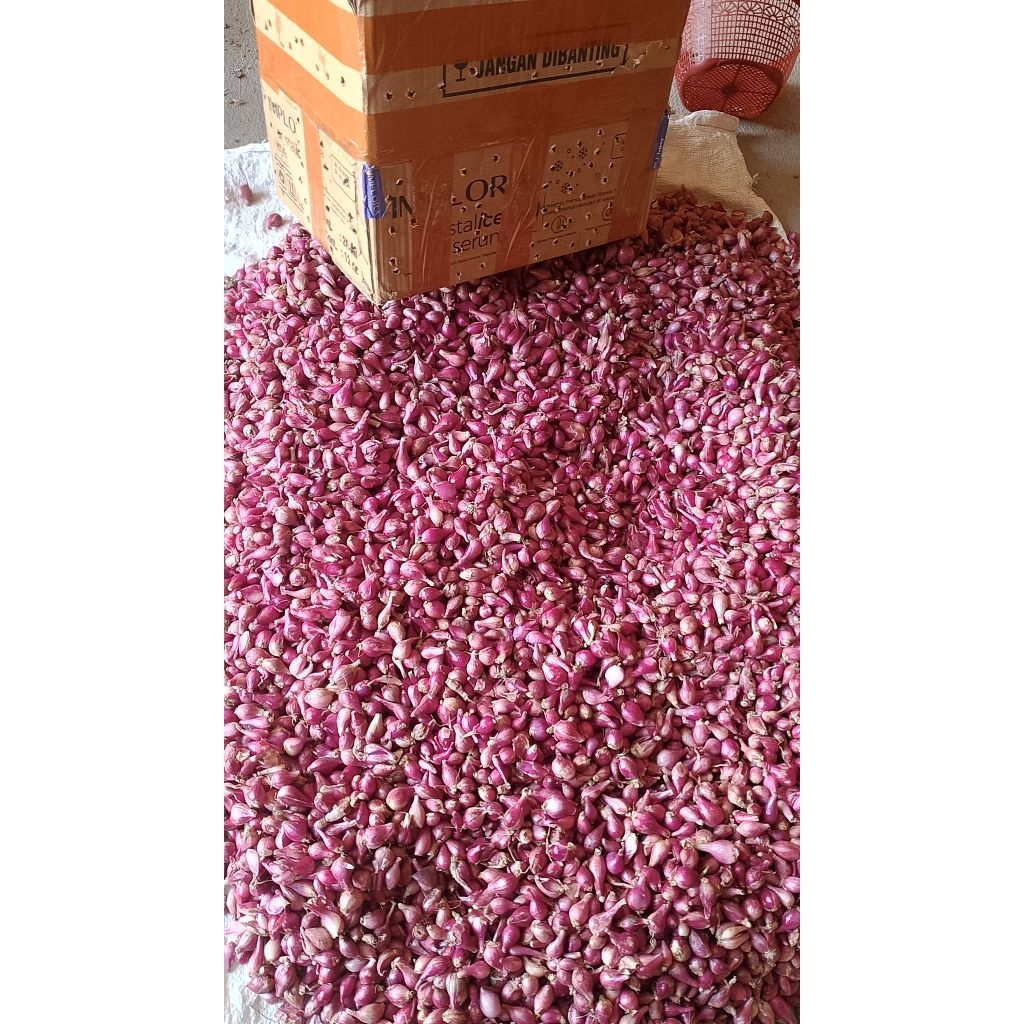 

BAWANG MERAH BEREBES UKURAN CAMPUR 1kg