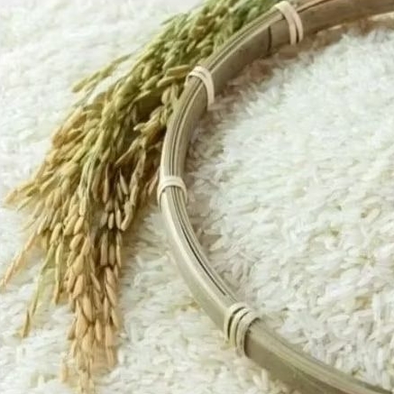 

Beras IR 64 Per 1 Kg