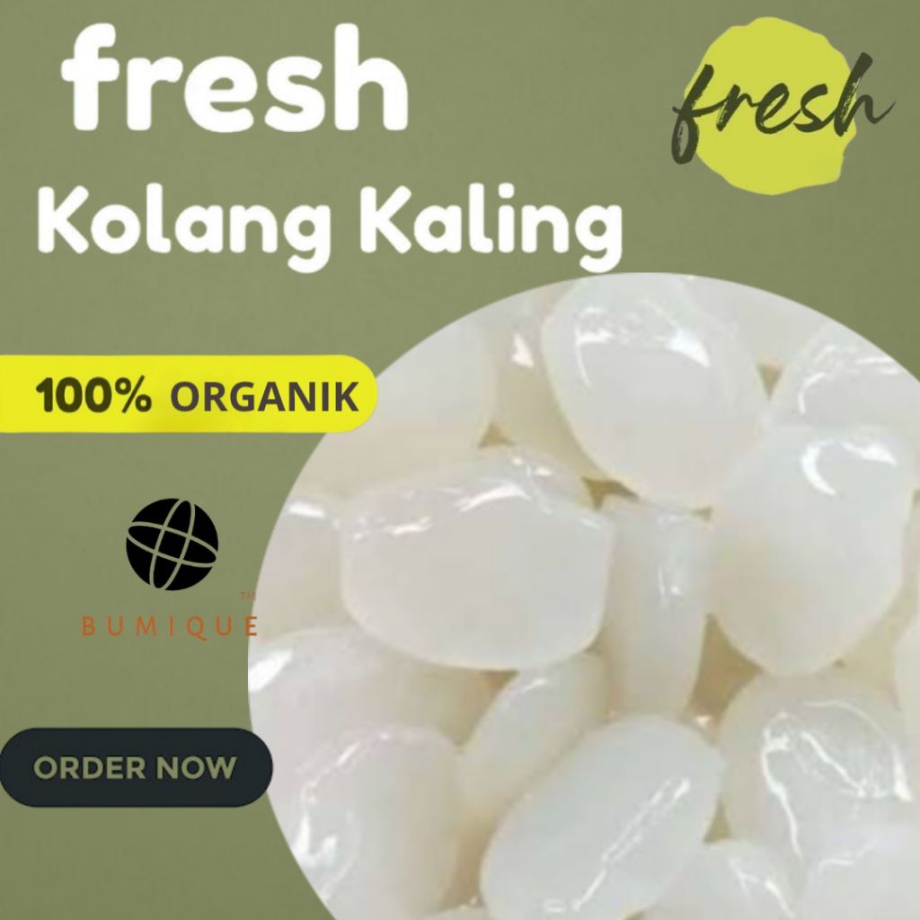 

Kolang kaling Muda Segar Empuk Berkualitas Berat 1 kg