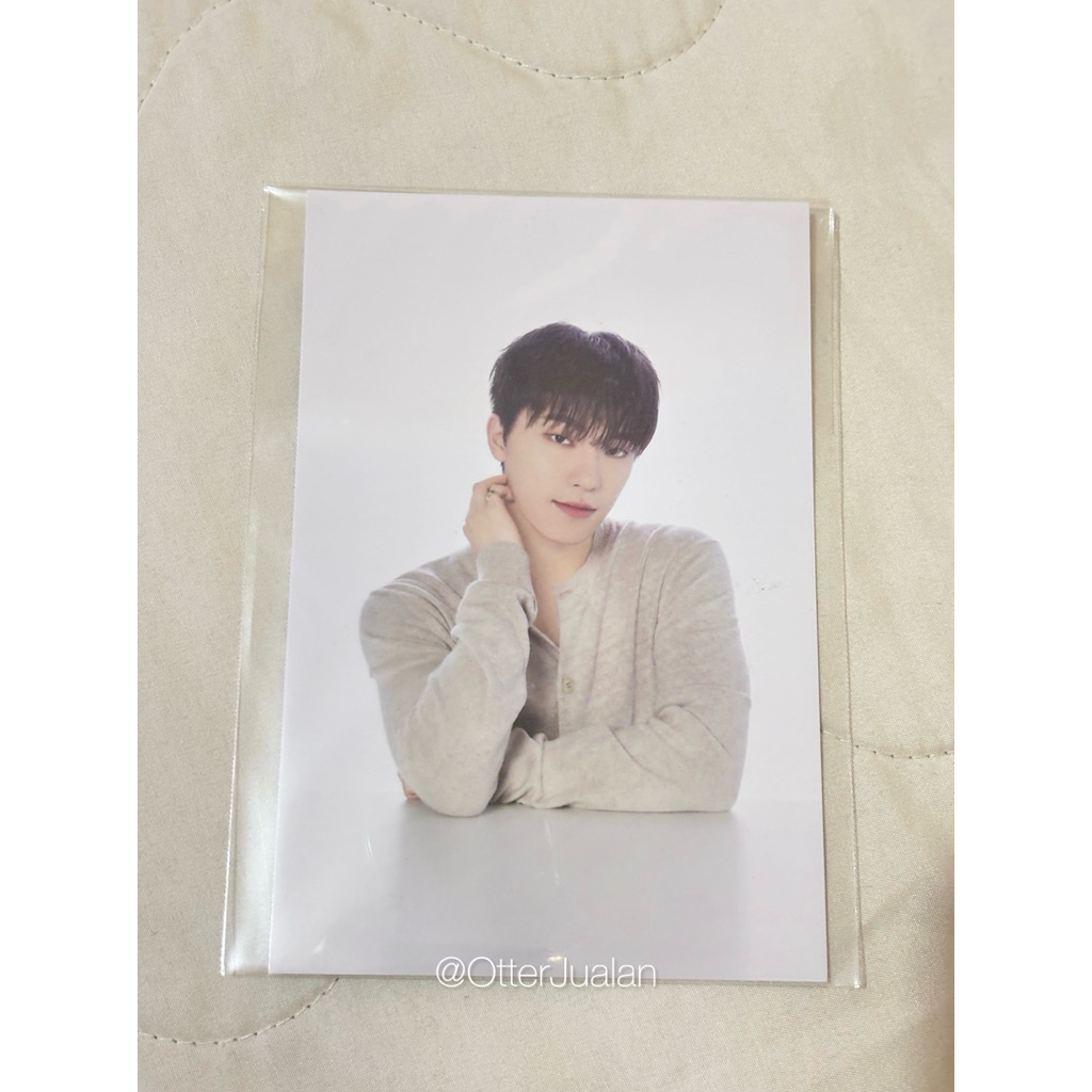 Seventeen DINO Postcard - Artist Made Collection