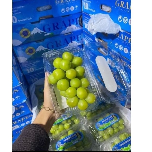 

anggur ijo muscat non biji per pack