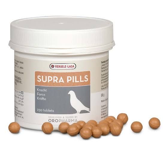 SUPRA PILLS DOPING VITAMIN BURUNG MERPATI HARGA PERBUTIR ECERAN PIL SUPRA VERSELE LAGA IMPORT