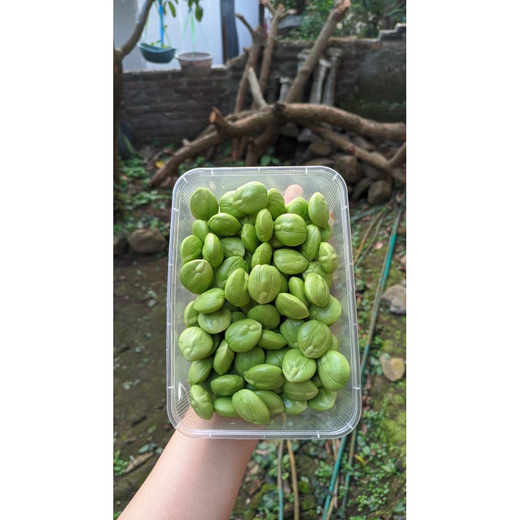 

PETE/PETAI KUPAS FRESH ASLI ANYER BANTEN