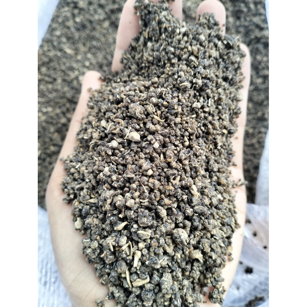 

Karak oyek tiwul/thiwul instan hitam asli gaplek 100%