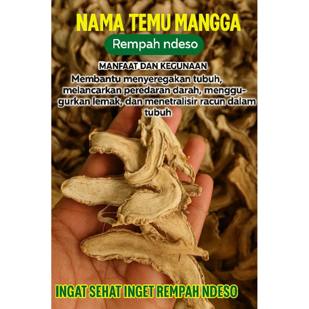 

Kunyit Putih/Temu Mangga Kering 1Kg Asli 100%– Rempah Herbal Tradisional untuk Jamu & Kesehatan | Rempah Ndesoi