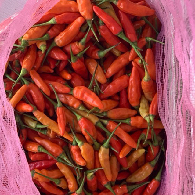 cabe rawit merah 1 kg - cabe rawit fresh