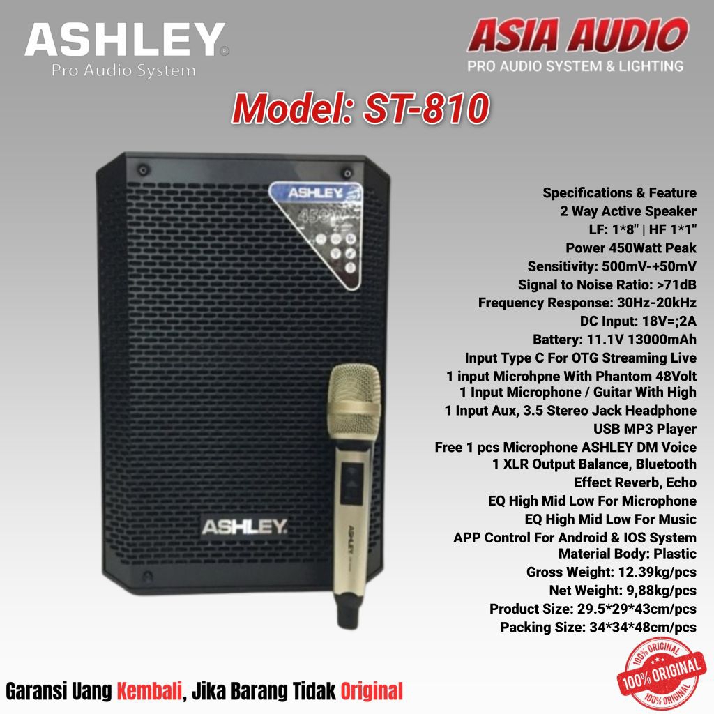 SPEAKER PORTABLE ASHLEY ST-810