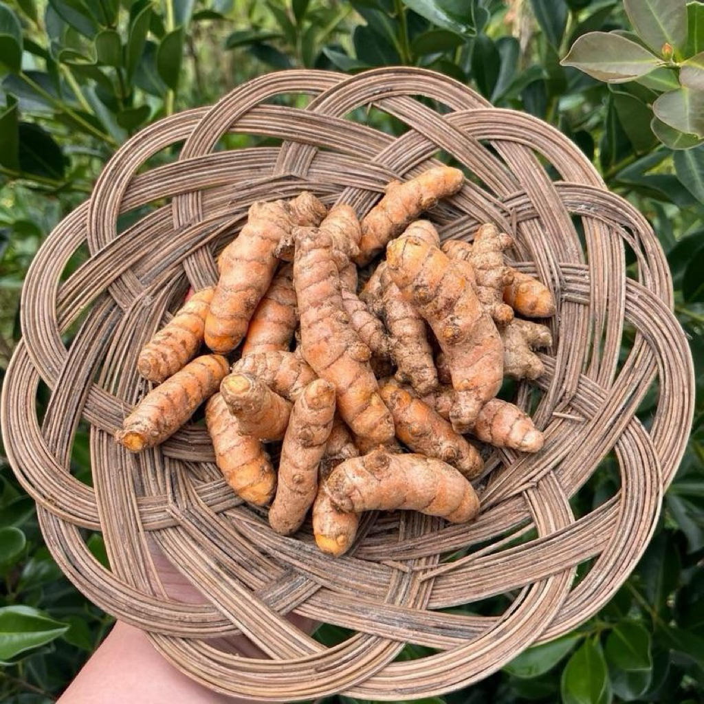 

Kunyit / Koneng 250gr