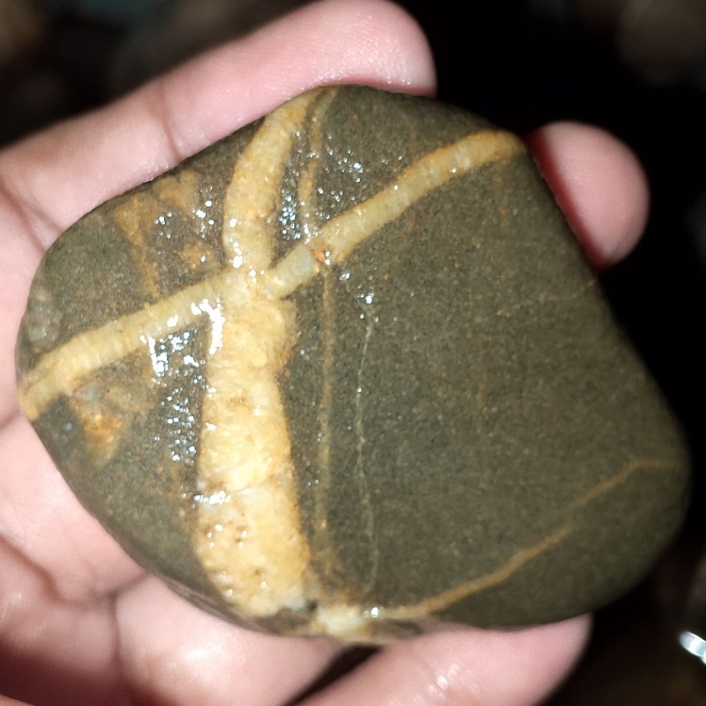 bahan batu tapak jalak natural alam