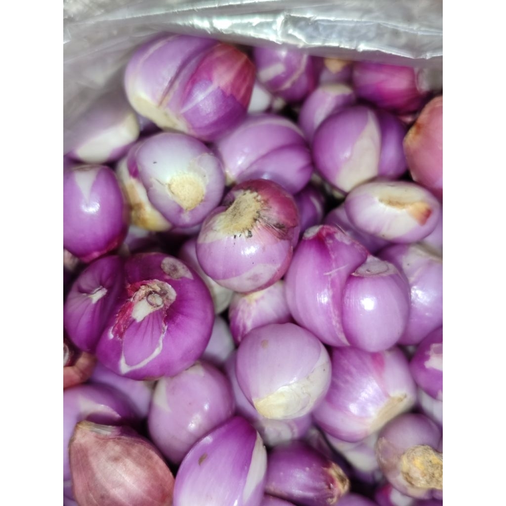 

BAWANG MERAH KUPAS 1 KG