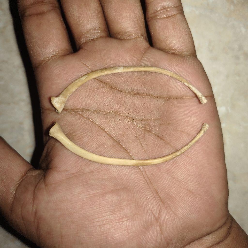 sepasang barang kuno langka antik ptlngsngklhrm unik jadul