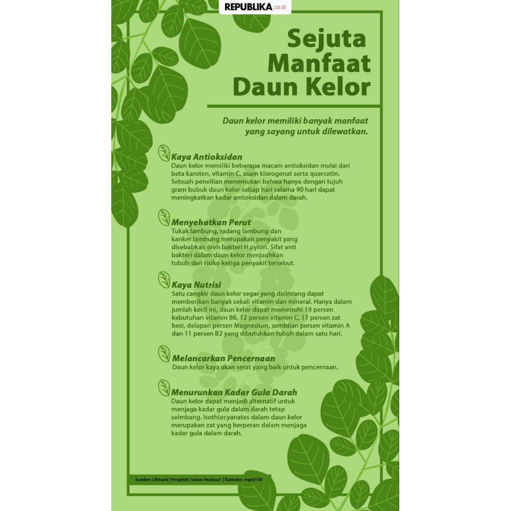 

daun kelor segarr 250g
