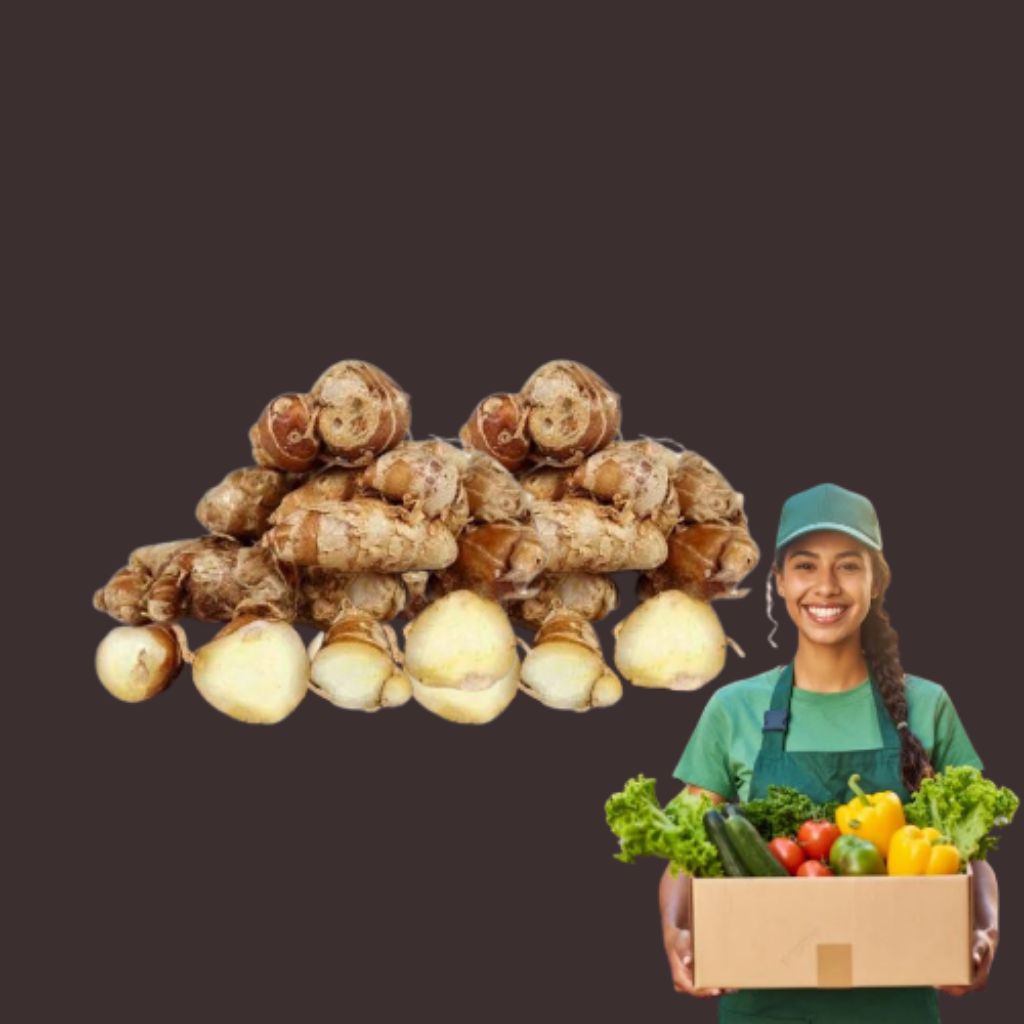 

KENCUR BUMBU MASAK REMPAH REMPAH 250GR