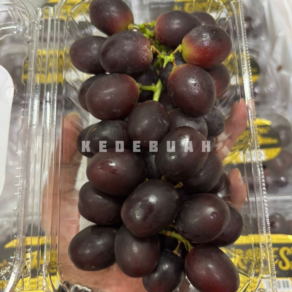 

Anggur Shine Muscat Black Seedless (Buy 1 Get 1)