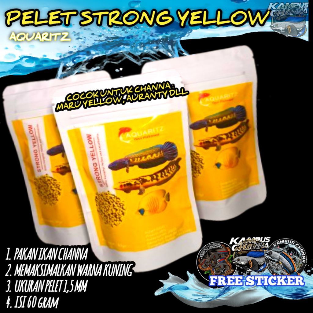 PELET CHANNA MARU YELLOW AURANTY