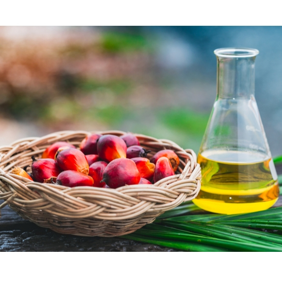 

Minyak Sawit | Palm Oil | 100ml & 1L