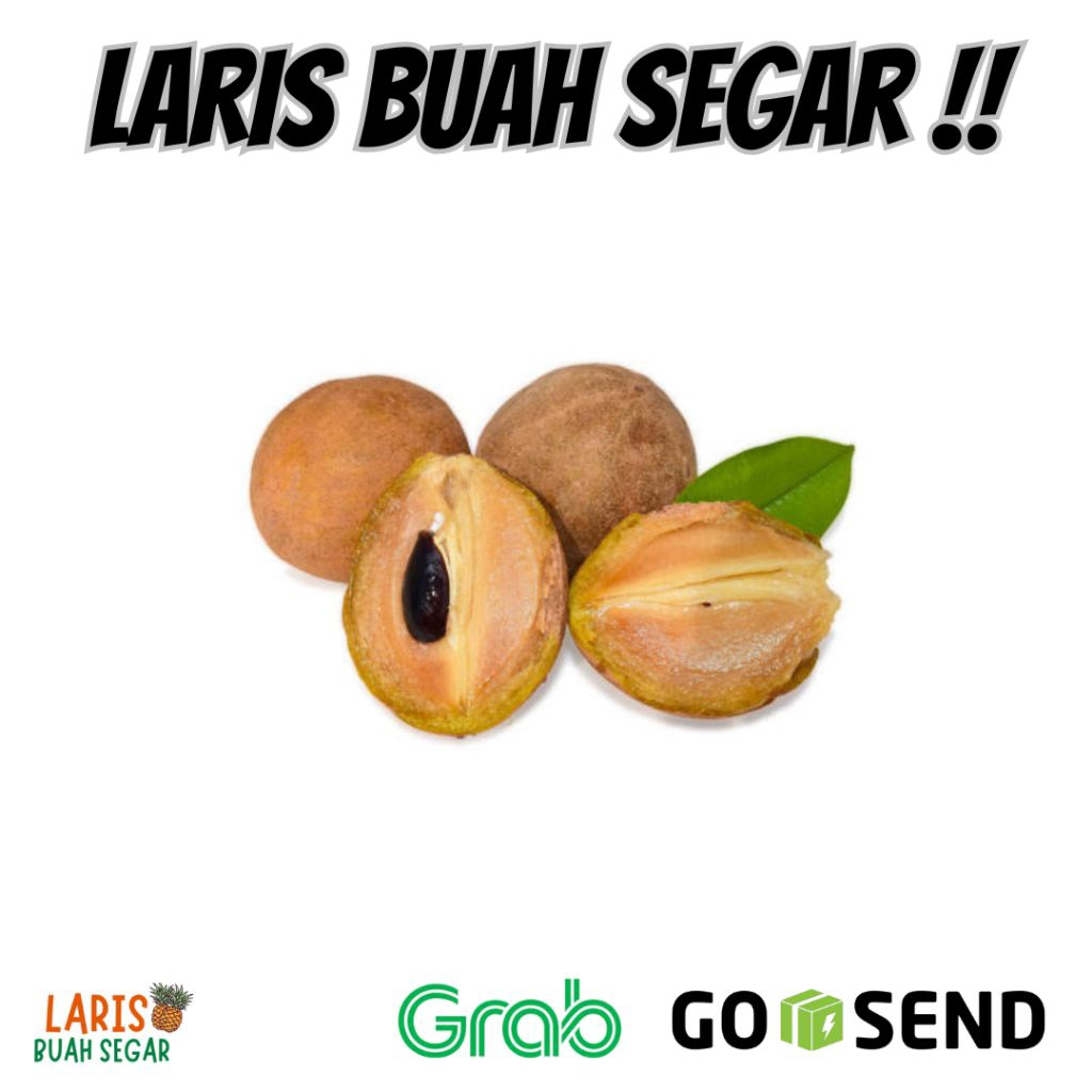

BUAH SAWO MANILA SAWO MANIS 1 KG