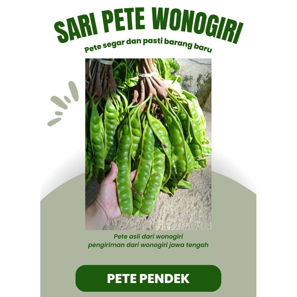 

Pete Pendek isi 10 papan Kualitas Bagus dari Wonogiri