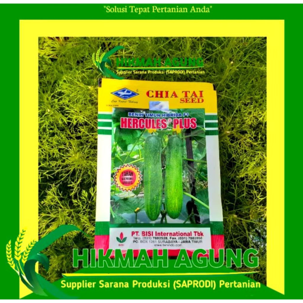 MENTIMUN HERCULES PLUS 10GR