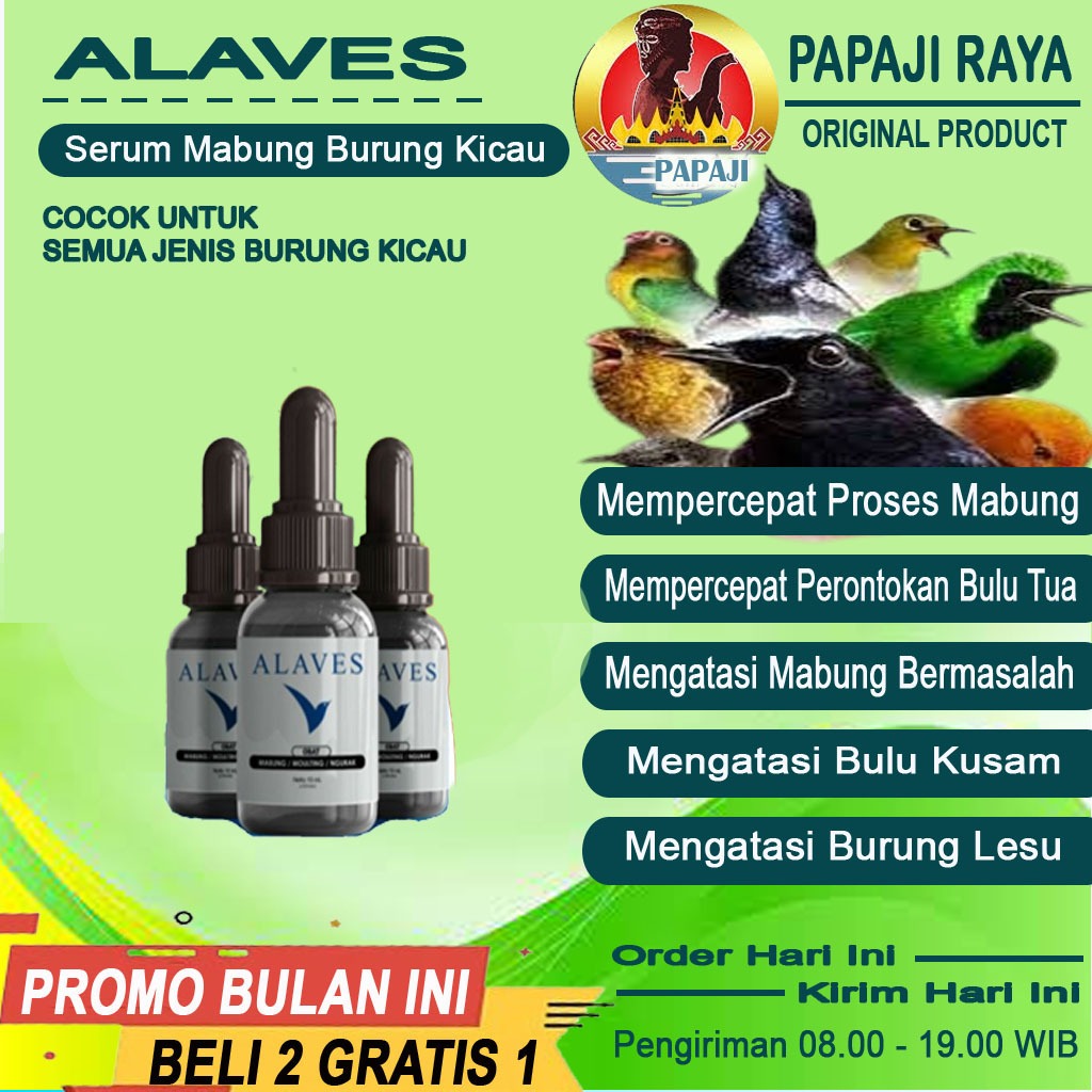 ALAVES SERUM OBAT MABUNG BURUNG KICAU