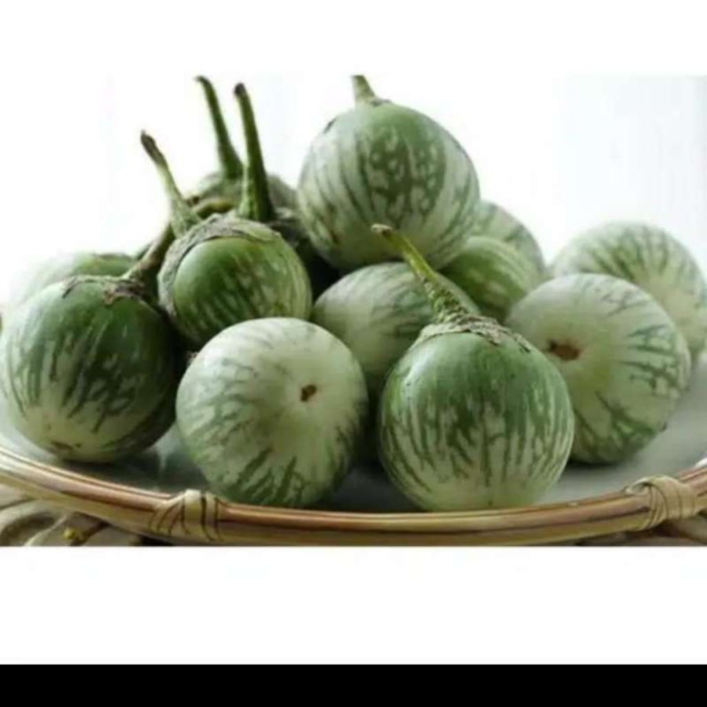 

Terong Coel segar / 10 biji