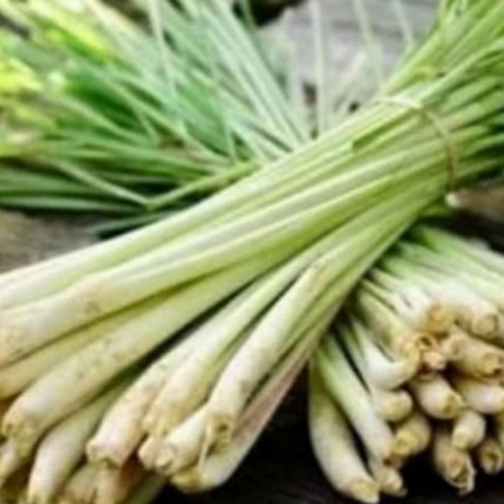 

sereh dapur / 1ikat isi 8 batang