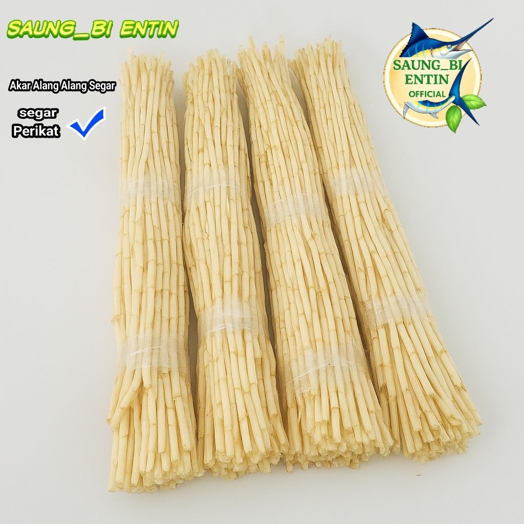 

Akar Alang Alang Segar Perikat Bersih Herbal Alami Obat Batu Ginjal