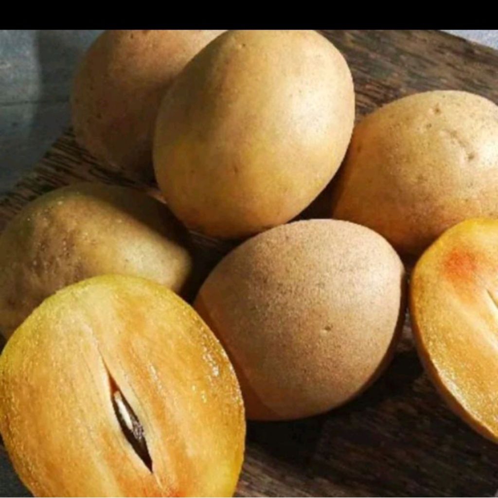 

sawo madu khas Pangandaran /1kg