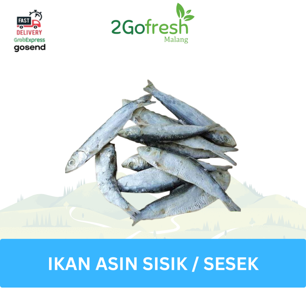 

Ikan Asin Sesek / Ikan Asin Sisik Kaca / Ikan Asin Tembang - 2gofresh