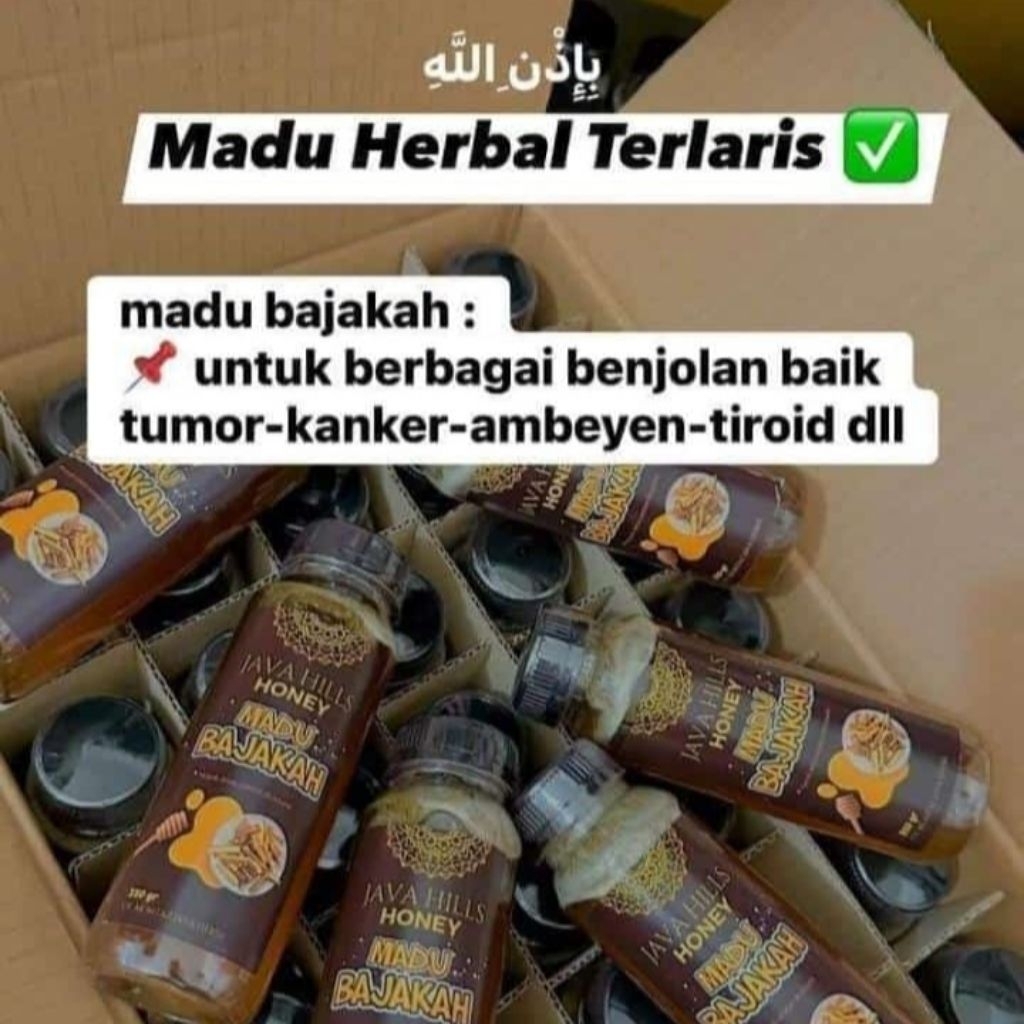 

MADU BAJAKAH JAVAHILLS 330 ML