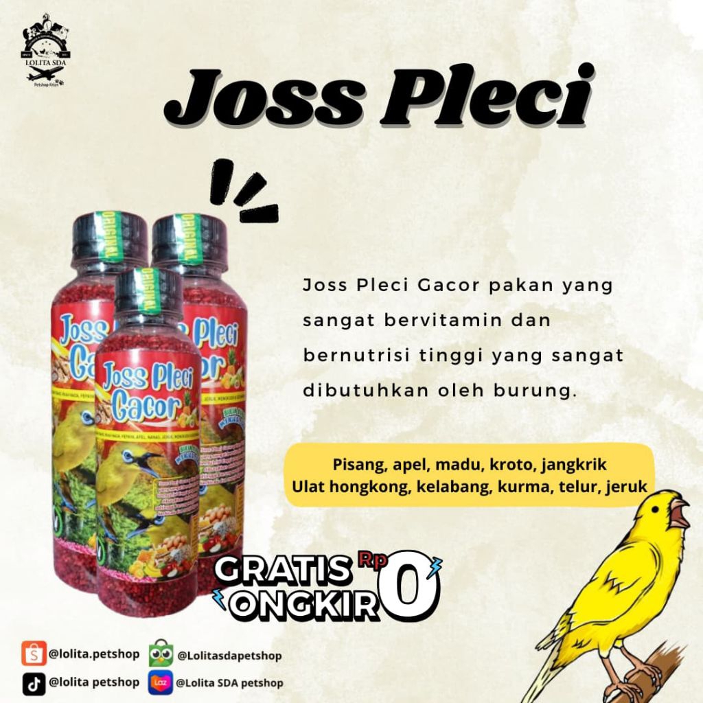 voer burung joss pleci gacor pakan burung pleci