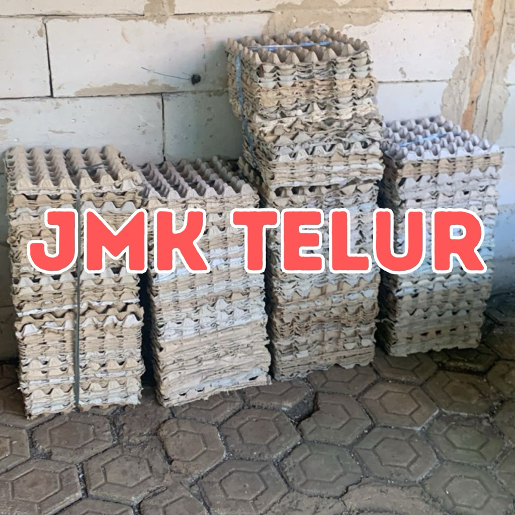 (1 IKAT ISI PAKET 10 LEMBAR) wadah telur / egg try/tempat telor karton bekas / egg try
