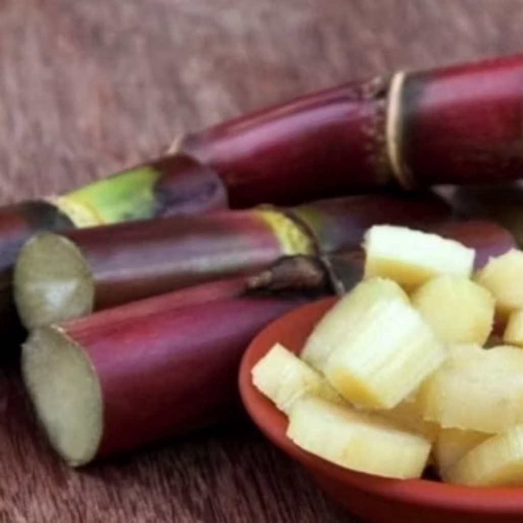 

Tebu hitam/ireng 1Kg manis bisa buat minum an segar dan bisa juga di buat hiasan rumah di tanam