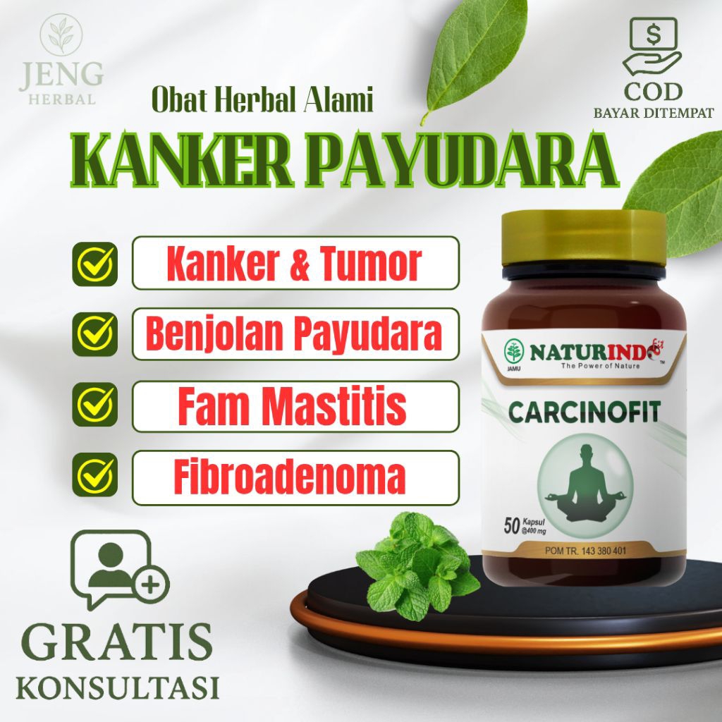 Obat Kanker Payudara Paling Ampuh Herbal Tumor Kanker Serviks Benjolan Payudara Tumor Paru Paru