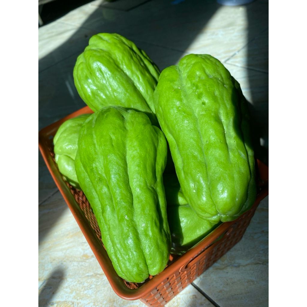 

labu siam super fresh 1kg