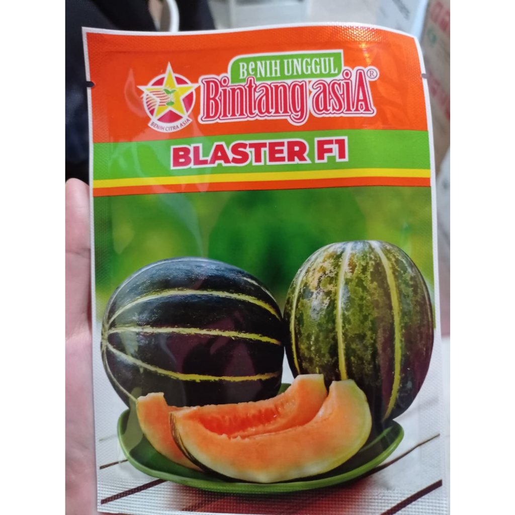 PROMO BENIH BIBIT BLEWAH BLASTER F1 15 GR / Benih BIBIT BLEWAH BLASTER F1