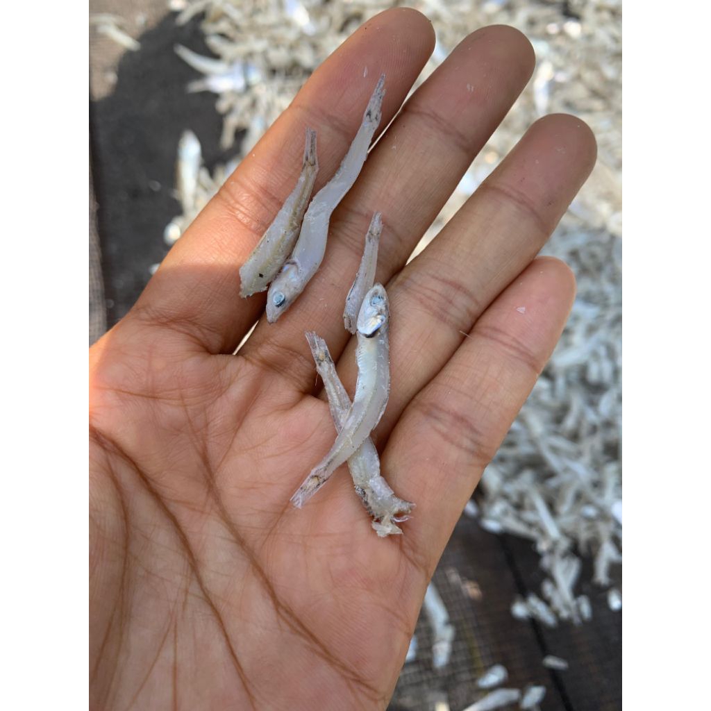 

IKAN TERI BUNTIAW 250GRAM