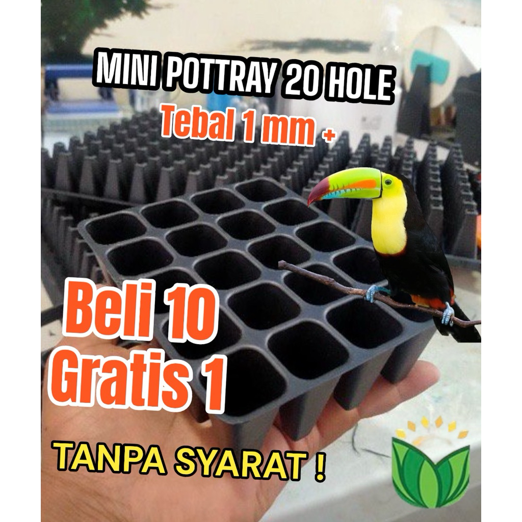 [Beli 10 gratis 1] Tray semai  20 Lubang custom / mini pottray