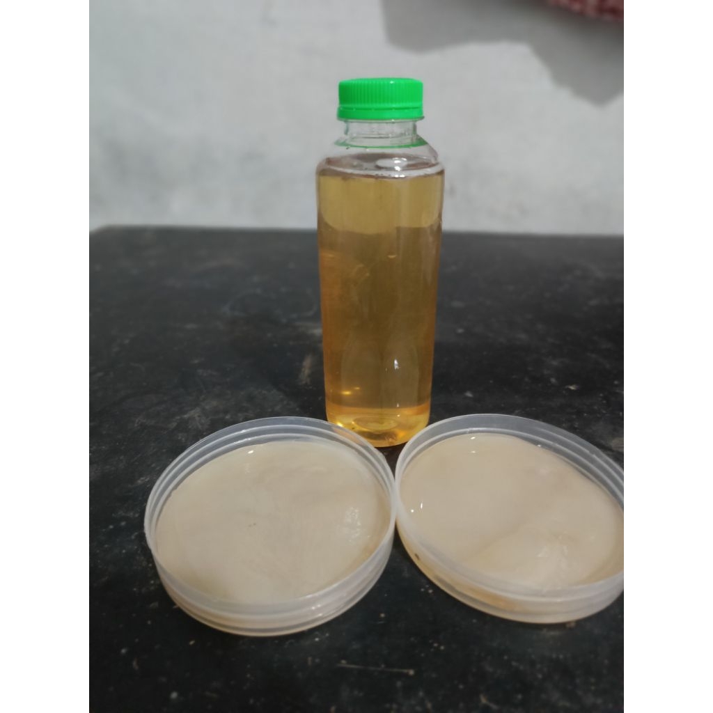 

scuby kombucha paket hemat 2 scuby ukuran 8-10cm + tester 250ml
