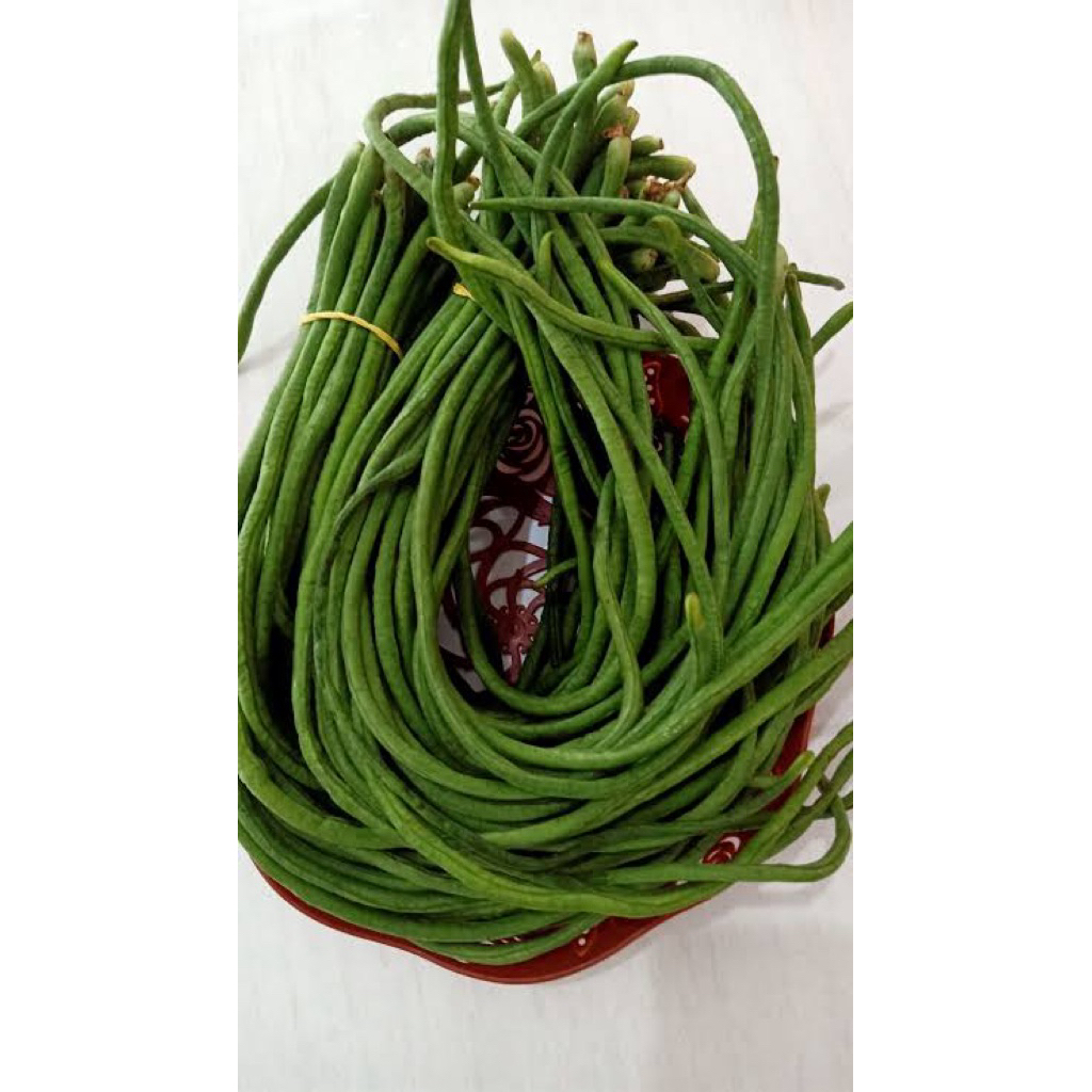 

Kacang Panjang Segar - Sayuran Organik Langsung dari Petani