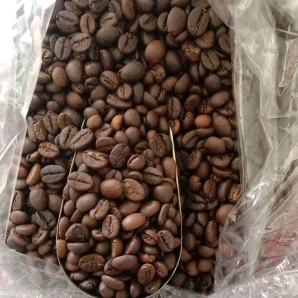 

ROASTBEAN ROBUSTA DAMPIT 100GR