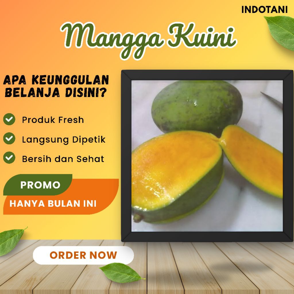 

INDOTANI_ Buah Mangga Kweni / Kuini Harum Manis 1 Kg