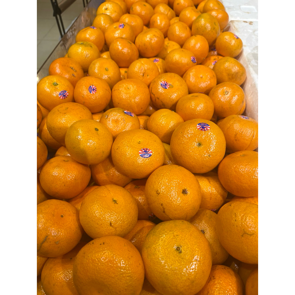 

Jeruk Phoenix Aus 900-1000kg