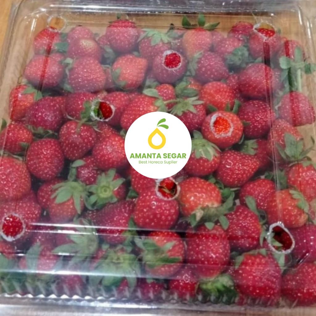 

PENGIRIMAN PO 1 HARI Buah Strawberry Strobery Reguler Segar Fresh Muat 650 Gram per Pack | Amanta Segar Bogor